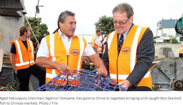新西兰金枪鱼第一次销往中国
