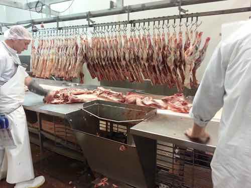 中资企业“出击”新西兰 获红肉加工企业控股权