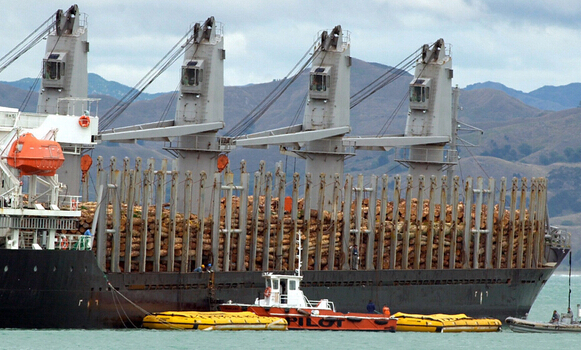 5月份中国进口量增加 新西兰原木出口价格上行