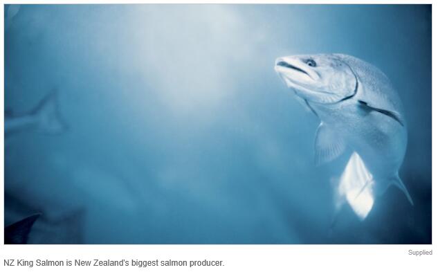新西兰最大三文鱼生产商忙扩张 欲实现澳新双上市